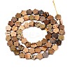 Natural Picture Jasper Beads Strands G-N257-24A-08-3