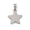 304 Stainless Steel Pendants STAS-Z114-03P-02-1