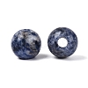 Natural Blue Spot Jasper European Beads G-Q602-09C-07-2
