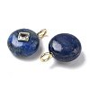 Natural Lapis Lazuli Pendants G-I391-01G-09-2
