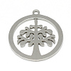 Non-Tarnish 201 Stainless Steel Pendants STAS-T008-084-2