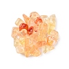 Transparent Acrylic Beads OACR-N137-46D-1