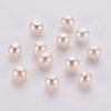 Natural Cultured Freshwater Pearl Beads OB018-1