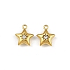304 Stainless Steel Charms STAS-I342-10G-2