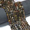 Natural Petrified Wood Beads Strands G-K389-B33-01-2