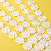 Polyester Lace Trim OCOR-TAC0008-18-20