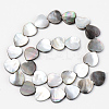 Natural Black Lip Shell Beads Strands SSHEL-Q298-11A-2