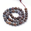 Natural Pietersite Beads Strands G-R446-12mm-13-2