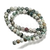 Natural Tree Agate Frosted Agate Round Gemstone Beads Strands G-O151-01-6mm-5