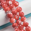 Dyed Natural Trochus Shell Beads Strands BSHE-G034-25C-2