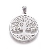 Non-Tarnish 304 Stainless Steel Pendants LS-STAS-F219-08P-2
