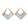 304 Stainless Steel & Acrylic Hoop Earrings EJEW-T054-05G-2