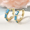 Brass Pave Cubic Zirconia Hoop Earrings EJEW-G471-09G-03-1