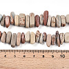 Natural Aqua Terra Jasper Beads Strands G-T140-64-5
