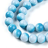 Baking Paint Glass Beads Strands DGLA-N012-10mm-05-3