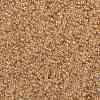 MIYUKI Round Rocailles Beads X-SEED-G009-RR0161-2