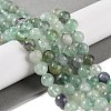 Natural Fluorite Beads Strands G-P530-B04-03-2