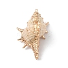 Electroplate Spiral Shell Big Pendants BSHE-C004-06G-2