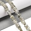 Natural Labradorite Beads Strands G-Q167-B19-01-2