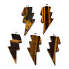 Natural Tiger Eye Pendants G-N332-53-A11-2