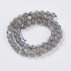 Natural Labradorite Beads Strands G-G448-8mm-04B-2