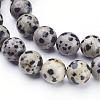 Natural Dalmatian Jasper Beads Strands GSR10mmC004-2