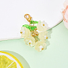 Glass & Acrylic Pendant Decorations HJEW-YW00052-05-1