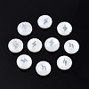 Natural Freshwater Shell Beads SHEL-N003-22-02P-1