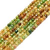 Natural Tourmaline Beads Strands G-P457-A01-14D-1