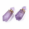 Faceted Natural Amethyst Pendants G-T131-15G-2