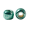 TOHO 11/0 Round Beads X-SEED-TR11-PF0561-3