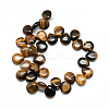 Natural Tiger Eye Gemstone Beads Strands G-T005-04-2