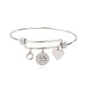 Stainless Steel Micro Pave Cubic Zirconia Charm Bangles  PW-WG9247A-02-1
