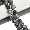 Natural Labradorite Beads Strands G-G182-B02-07-2