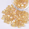 6/0 Glass Seed Beads SEED-S027-06B-01-1