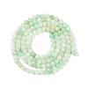 Natural Chrysoprase Beads Strands G-P542-A04-02-3