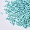 FGB 11/0 Grade A Glass Seed Beads SEED-S030-0729-2