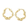 Rack Plating Brass Hoop Earrings for Women EJEW-Z019-09G-1