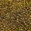 TOHO Round Seed Beads SEED-JPTR08-2155S-2