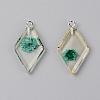 Transparent Clear Resin Pendants RESI-TAC0007-06D-1
