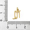 316L Surgical Stainless Steel Pendants STAS-U058-01G-08-3