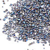 Plated Glass Seed Beads SEED-S016-11-3