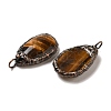 Natural Tiger Eye Pendants G-K381-05R-06-2