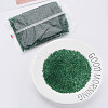 6/0 Transparent Two Tone Glass Seed Beads SEED-T006-01C-C09-2