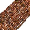 Natural Gemstone Beads Strands G-A260-A02-01-2
