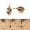 304 Stainless Steel Micro Pave Cubic Zirconia Charms STAS-U027-02G-06-3
