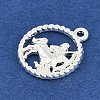 Twelve Constellations Alloy Pendants LS-PALLOY-Q006-01D-S-2