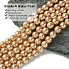 Eco-Friendly Dyed  Glass Pearl Round Beads Strands HY-A002-8mm-RB045-2