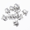 Tarnish Resistant 304 Stainless Steel Charms STAS-H413-13P-1