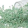TOHO 11/0 Round Beads SEED-JPTR11-PF0570-1